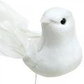 Floristik24 Weiße Tauben, Hochzeit, Deko-Tauben, Vögel am Draht H6cm 6St