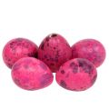Floristik24 Wachteleier Pink 3,5-4cm Ausgeblasene Eier Osterdekoration 50St