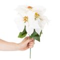 Künstliche Weihnachtssternblume Weiss 40 cm Kunstseide | Floristik24.ch
