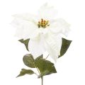 Floristik24 Weisser künstlicher Weihnachtsstern mit Drahtstiel 65cm, 2 Stück