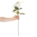 Weisser künstlicher Weihnachtsstern mit Drahtstiel 65cm, 2 Stück | Floristik24.ch