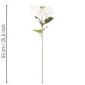 Weisser künstlicher Weihnachtsstern mit Drahtstiel 65cm, 2 Stück | Floristik24.ch