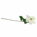Weihnachtsstern Kunstblume Weiß 67cm | Floristik24.ch