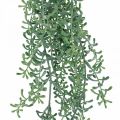Floristik24 Grünpflanze hängend künstlich Hängepflanze mit Knospen Grün, Weiß 100cm