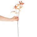 Künstlicher Weissdorn-Zweig mit Blättern und Beeren 62 cm Orange | Floristik24.ch