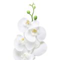 Floristik24 Weiße Orchidee Künstlich Phalaenopsis Real Touch 85cm