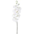 Floristik24 Weiße Orchidee Künstlich Phalaenopsis Real Touch H83cm