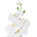 Floristik24 Weiße Orchidee Künstlich Phalaenopsis Real Touch H83cm