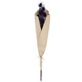 Wilde Karde Trockenblumen Kardendisteln Violett 55cm 10 Köpfe | Floristik24.ch