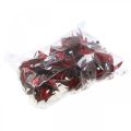 Wildlilie Rot Naturdeko Trockenblumen 6-8cm 50 St | Floristik24.ch