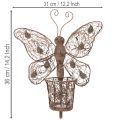 Windlicht Wanddeko Schmetterling Metall Rostoptik mit Glas 36,5cm | Floristik24.ch