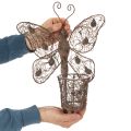 Windlicht Wanddeko Schmetterling Metall Rostoptik mit Glas 36,5cm | Floristik24.ch