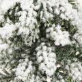 Winterdeko Tannenbaum in Grün Weiß Ø7cm H14cm 4St | Floristik24.ch