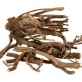 Floristik24 Deko-Holzäste naturgetrocknet 18 cm 500 g für kreative Dekoration