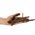 Deko-Holzäste naturgetrocknet 18 cm 500 g für kreative Dekoration | Floristik24.ch