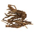 Deko-Holzäste naturgetrocknet 18 cm 500 g für kreative Dekoration | Floristik24.ch