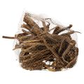 Deko-Holzäste naturgetrocknet