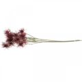 Floristik24 Xanthium Kunstblume Herbstdeko Rot 6 Blüten 80cm 3St