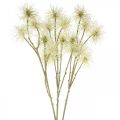 Floristik24 Xanthium Kunstblume Creme Herbstdeko 6 Blüten 80cm 3St