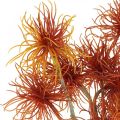 Floristik24 Xanthium Kunstblume Herbstdeko Orange 6 Blüten 80cm 3St