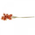 Floristik24 Xanthium Kunstblume Herbstdeko Orange 6 Blüten 80cm 3St