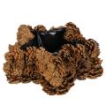 Floristik24 Tannenzapfen-Pflanztopf Stern 30 cm naturbraun für saisonale Dekoration