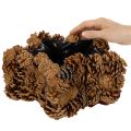 Tannenzapfen-Pflanztopf Stern 30 cm naturbraun für saisonale Dekoration | Floristik24.ch