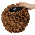 Deko-Übertopf aus Tannenzapfen 27 cm rund naturbraun | Floristik24.ch