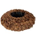 Floristik24 Runde Schale aus natürlichen Tannenzapfen 38 cm Ø, 14 cm hoch, braun