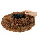 Runde Schale aus natürlichen Tannenzapfen 38 cm Ø, 14 cm hoch, braun | Floristik24.ch