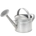Floristik24 Zink-Giesskanne 27cm Vintage-Look - Metall Pflanzgefäss für Garten & Terrasse