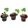 Floristik24 Glücksfiguren Kleeblatt und Käfer im Zylinder 7cm, 3er-Set, Kunststoff, Grün und Schwarz