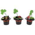 Glücksfiguren Kleeblatt und Käfer im Zylinder 7cm, 3er-Set, Kunststoff, Grün und Schwarz | Floristik24.ch