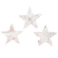 Floristik24 Mini Birkensterne 2–2,5 cm weissgewaschen, 150 Stück