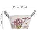 Blumenschale oval Metall mit Griffen Lavendel-Motiv 26×13×14,5cm | Floristik24.ch