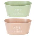 Blumenschale Oval Zink 27×18×12,5cm Pastellfarben mit Prägung für Innen- und Aussenbereich | Floristik24.ch