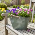 Blumentopf Metall mit Jutegriffen 24,5x17x15,5cm Grün-Grau für Innen- und Aussenbereich | Floristik24.ch