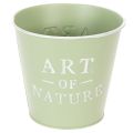Floristik24 Blumentopf Zink mintgrün Ø15cm H13,5cm mit Aufschrift „Art of Nature“ für Innen- und Aussenbereiche
