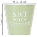 Blumentopf Zink mintgrün Ø15cm