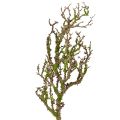Floristik24 Deko Ast mit Moos Künstlich Herbstdeko Grau Grün L78cm