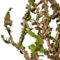 Deko Ast mit Moos Künstlich Herbstdeko Grau Grün L78cm | Floristik24.ch
