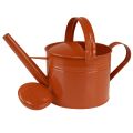 Metall Deko-Giesskanne 26cm 5L Orangebraun – Pflanzgefäss und Dekoration für Innen- und Aussenbereiche | Floristik24.ch