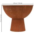 Deko-Metallschale mit Standfuss, Pokalschale, Ø 20,5 cm, Rostoptik, 2 Stück | Floristik24.ch