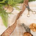 Dekoband Zweige mit roten Glitterbeeren 40mm x 15m Beige-Braun | Floristik24.ch