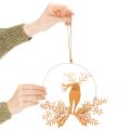 Dekoring-Set aus Metall Ø18cm, Rentier und Weihnachtsmann, Edelrost-Optik | Floristik24.ch