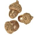 Herbstfrüchte Golden, festlicher Herbstschmuck, Deko-Eicheln natürlich, Adventsdeko Ø1,5 – 2,5cm L1,5 – 3cm 300g | Floristik24.ch