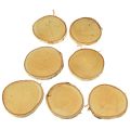 Holzscheiben mit Rinde Birkenscheibe Natur Ø9-10cm 7 St | Floristik24.ch