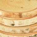 Holzscheiben mit Rinde Birkenscheibe Natur Ø9-10cm 7 St | Floristik24.ch