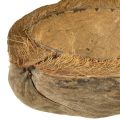 Kokosnuss als Pflanzschale Natur Pflanztopf 20cm 5 St | Floristik24.ch