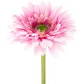 Floristik24 Künstliche Gerbera Rosa 47 cm mit biegsamem Stiel 6St